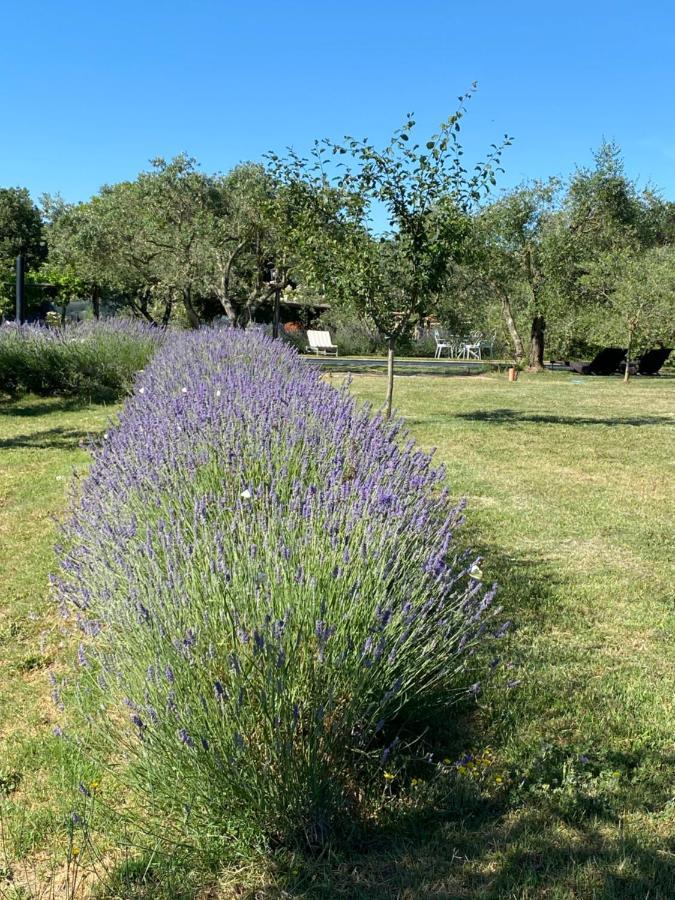 Agriturismo La Cervaiola Piccola Dimora Di Campagna Porano Eksteriør billede